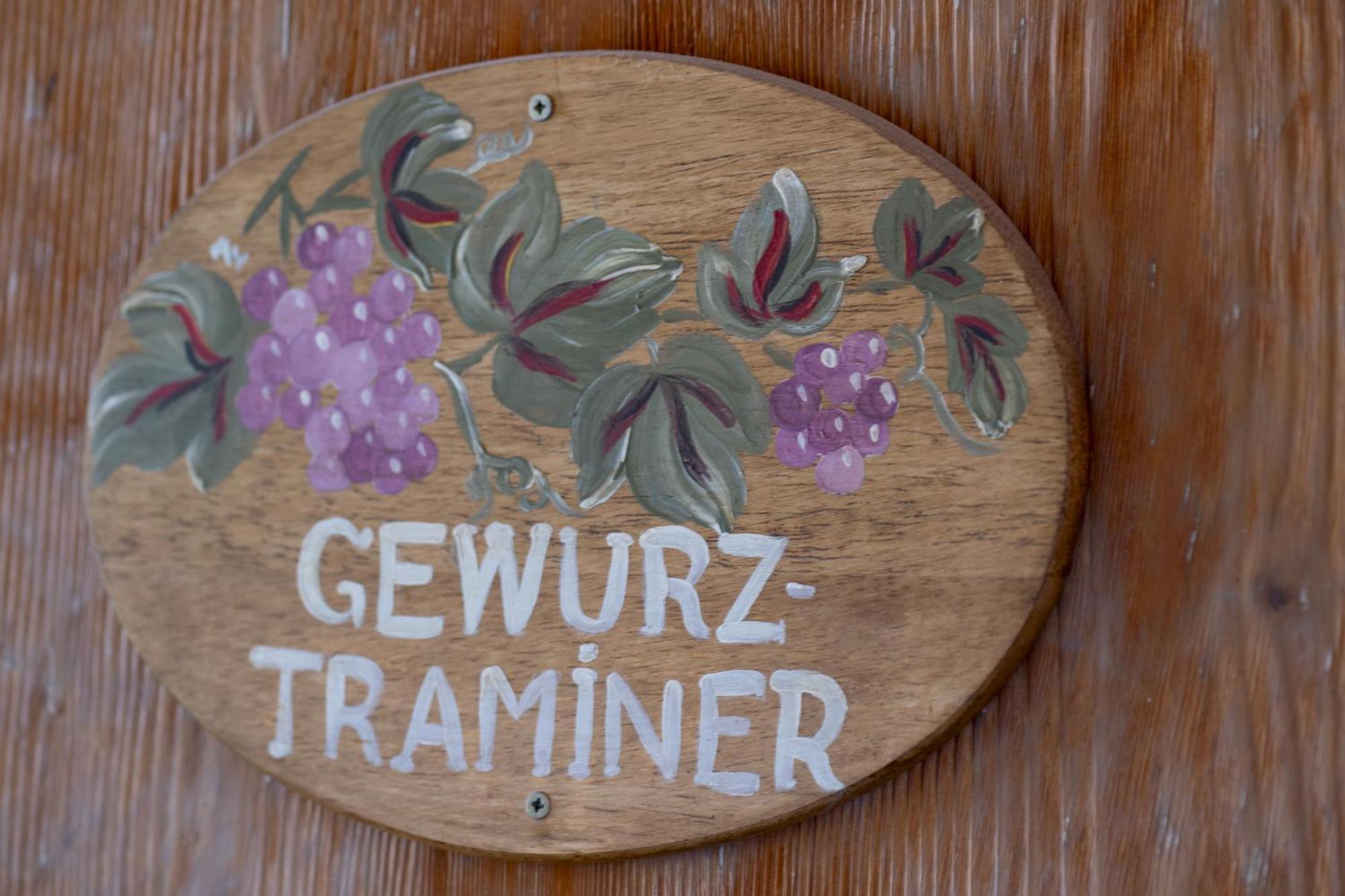 Gewurztraminer - Studio Au Pied Du Vignoble - Renove Recemment - Parking Gratuit Riquewihr Exterior foto